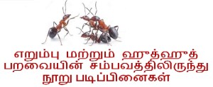 ants new